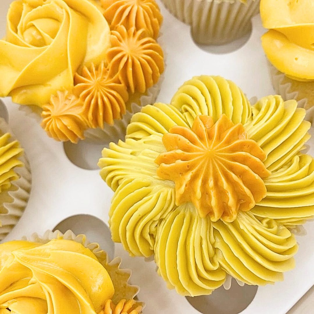 Classic Swirls - Box of 6