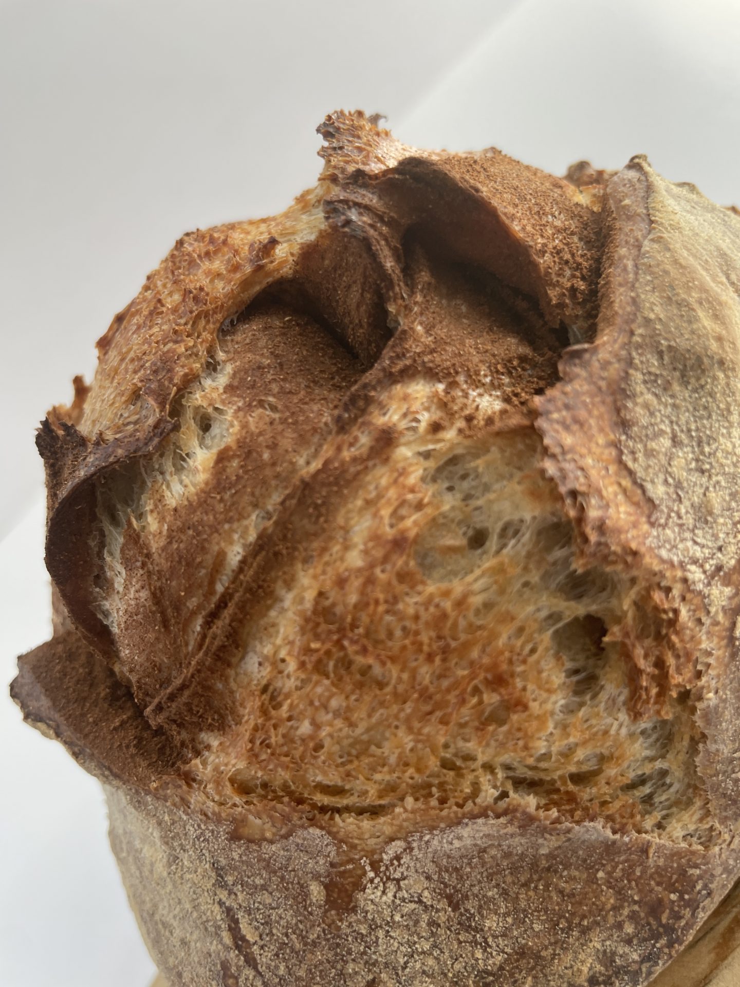 Cinnamon Sourdough Loaf