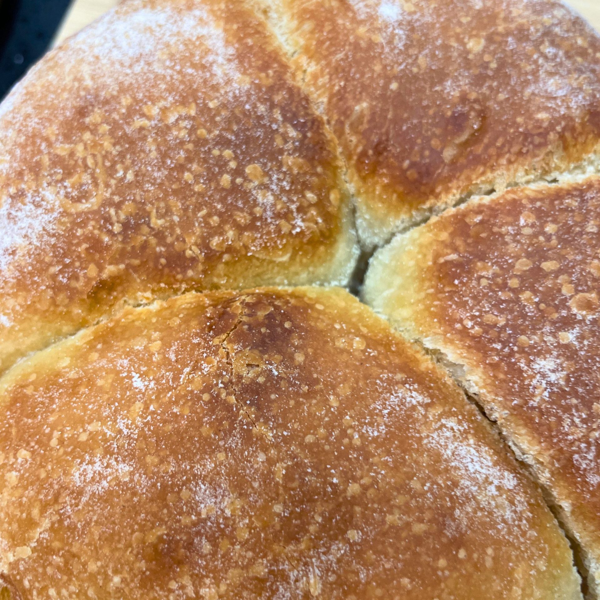 Sourdough Bread Rolls - Tear & Share (Pack of 4)